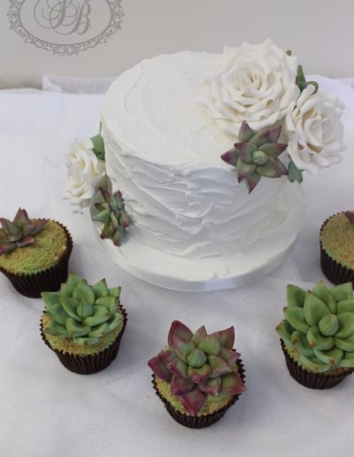 Single tier royal iced wedding cake with succulent cupcakes