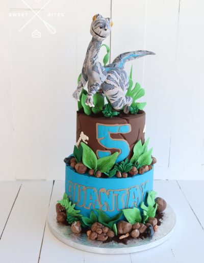 dinosaur cake jungle 5th birthday