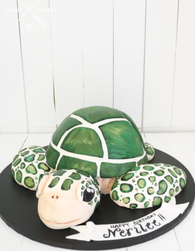 3d sea turtle cake green