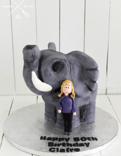 3d elephant elefant cake