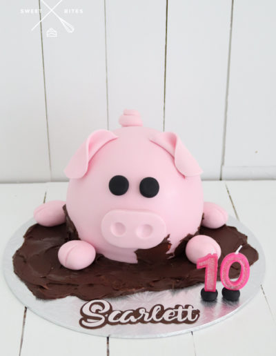 pig in mud cake 3d
