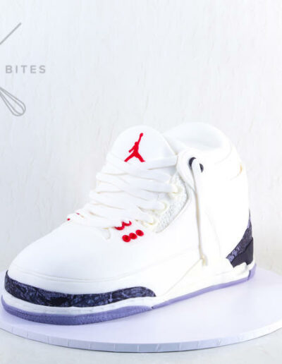 Nike Air Jordan